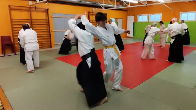 Meilleur des clubs arts martiaux : Aikido Cherbourg Cotentin au dojo le Dimanche 16-11 (1)
