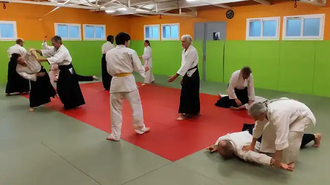 Meilleur des clubs arts martiaux : Aikido Cherbourg Cotentin au dojo le Dimanche 16-11 (2)