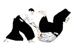 Art martial qui bouge pour Aikido Cherbourg Cotentin