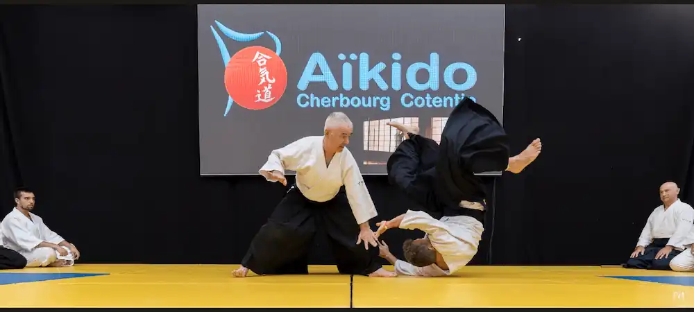 Aikido démo arts martiaux tradition Japan Pop show Cherbourg 2023